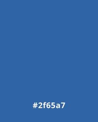 #2f65a7